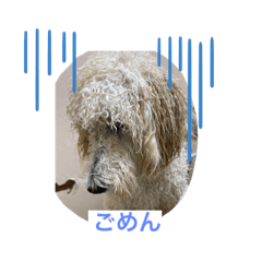KAORI_20220411211750