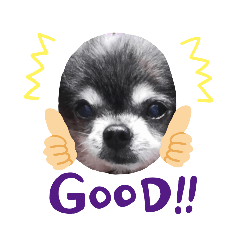 Lily29_20220411122604