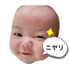 tanuki_20220411120319