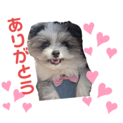 Yukina_20220411200904