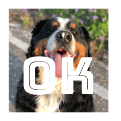 mizuki_20220411200956