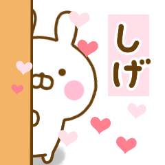 Rabbit Usahina love shige