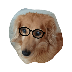 satoshi_20220411203542