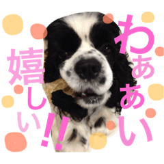 jonimo