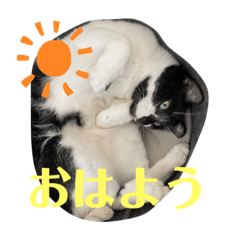 Kokoko_20220412140704