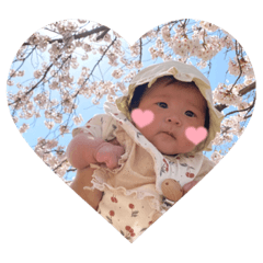 nanami_20220412141954