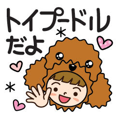 toy-poodle-Girl