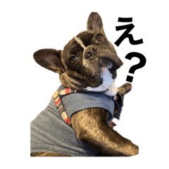 HIYORI_20220412122140