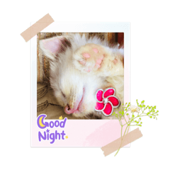 MIKI_20220412121210
