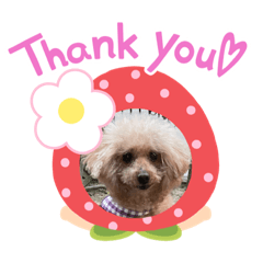 akiko_20220412162046