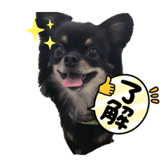 RINA_20220412162553