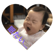 Everyday Ayame