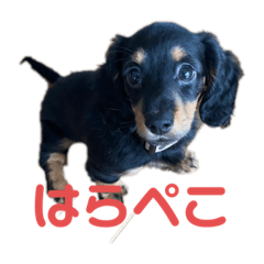 KAORI_20220412172559