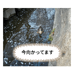 tono_20220412182742