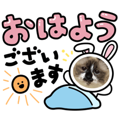 愛ちゃんNo2
