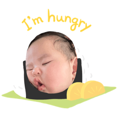 毎日きぃちゃん！2