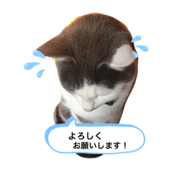 MIKI_20220411201707