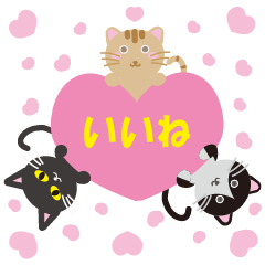 Cat`s sticker
