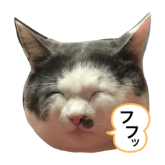 MIKI_20220411182212
