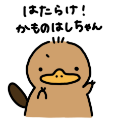 platypus3(kamonohashi3)