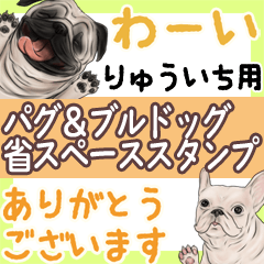 Ryuuichi Pug & Bulldog Space saving