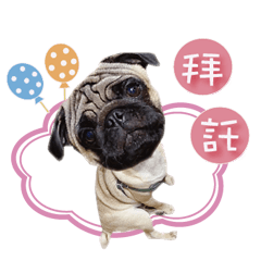 釣具小開「GUCCI SU」