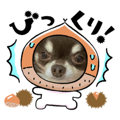 michiko_20220412230625