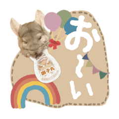 tanuki_20220413093232