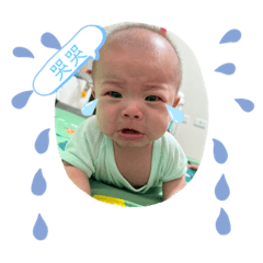 小肉丸生活日記