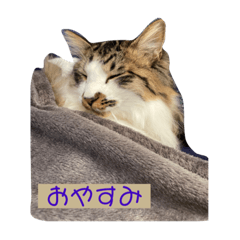 natsumi_20220413110852