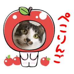 Hana_20220413111403