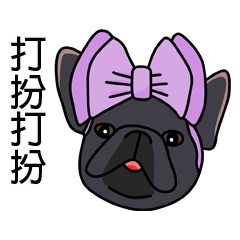 French Bulldog is coming 3 - grey dog