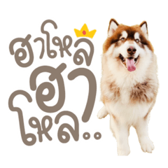 Iamnook_20220412222324