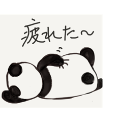 panda doing