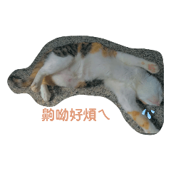 黑熊&泡芙的貼圖：）