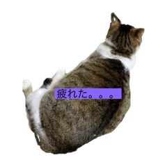 ai_20220413144357