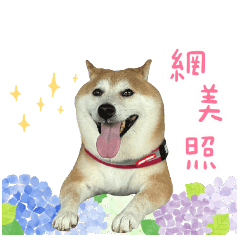 伊卡貼圖（一）