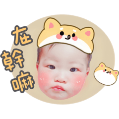 阿甯的日常-柴柴篇