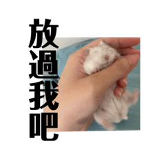 社畜三郎不想上班