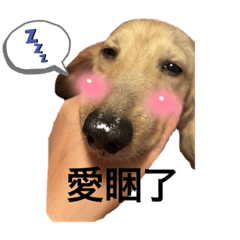 腸鏡人