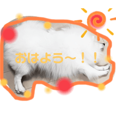 miki_20220414092051