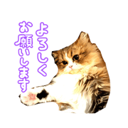 sizuru_20220413180349