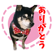 KAI and MAME'S Sticker