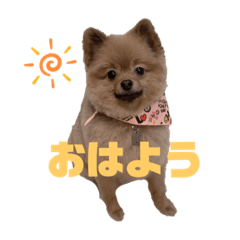 tomomi_20220413184715