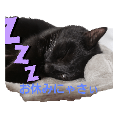 miki_20220414102729