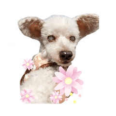yuka_20220414101934
