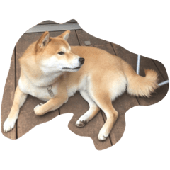 yamada_20220413192628