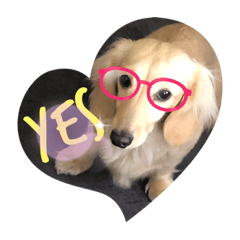 KINACO_20220413201529