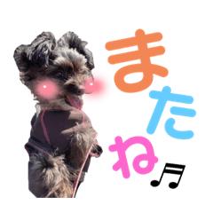 suzu_20220414030939