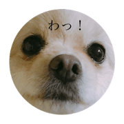I am kotetsu !